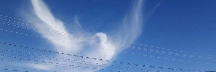Christine 🕊🕊🕊🇩🇪's banner