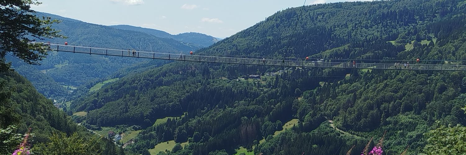 hello darkness my old friend🖤🩶🤍💜 banner