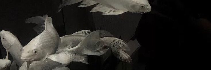 éteint.𓍼 banner