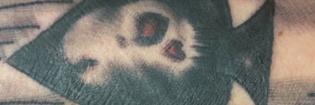 yshep97's profile banner image