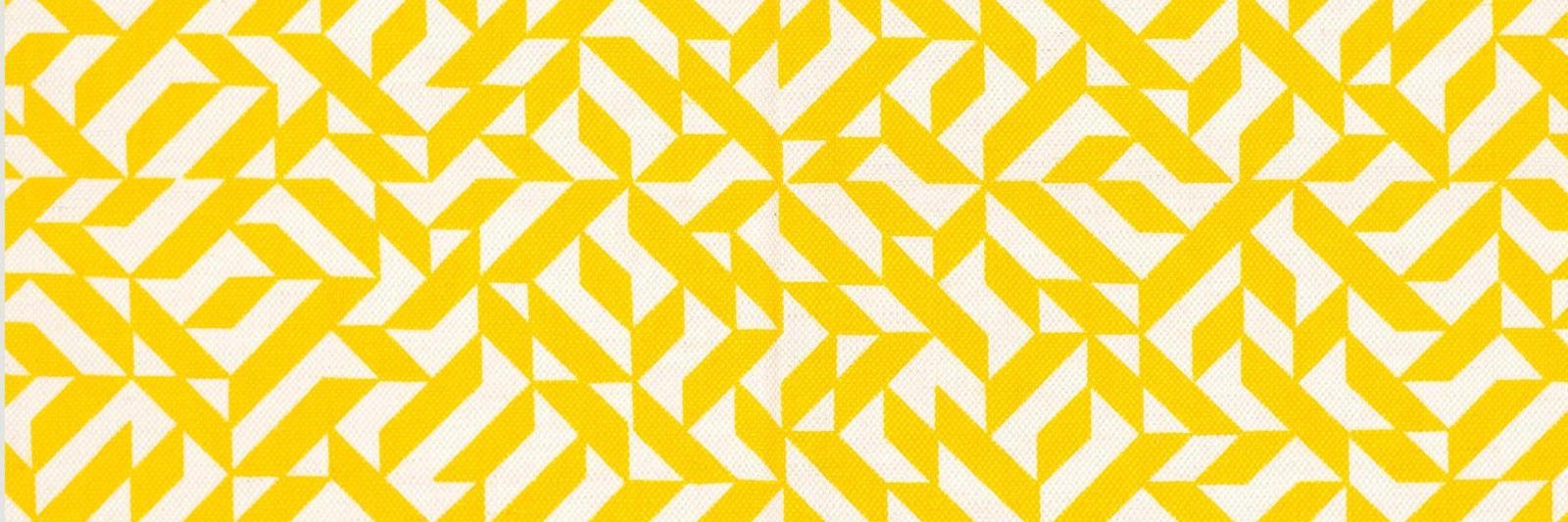 Dr. Tiffany Roman (@troman.bsky.social) banner