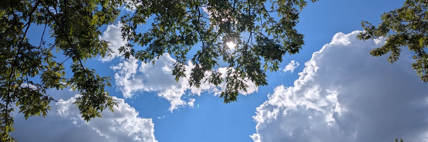 Biruu 🐼⚡🪨🫘 banner