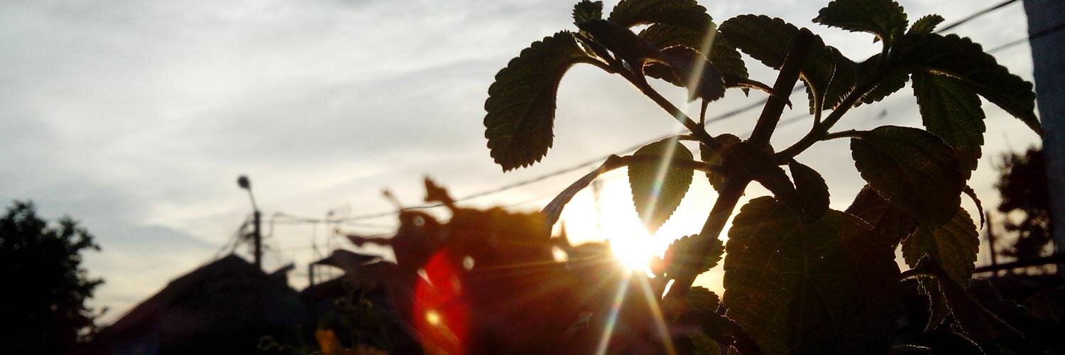 mondayvation_'s profile banner image
