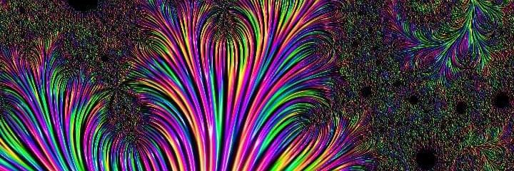 BoredLifeForm's profile banner image