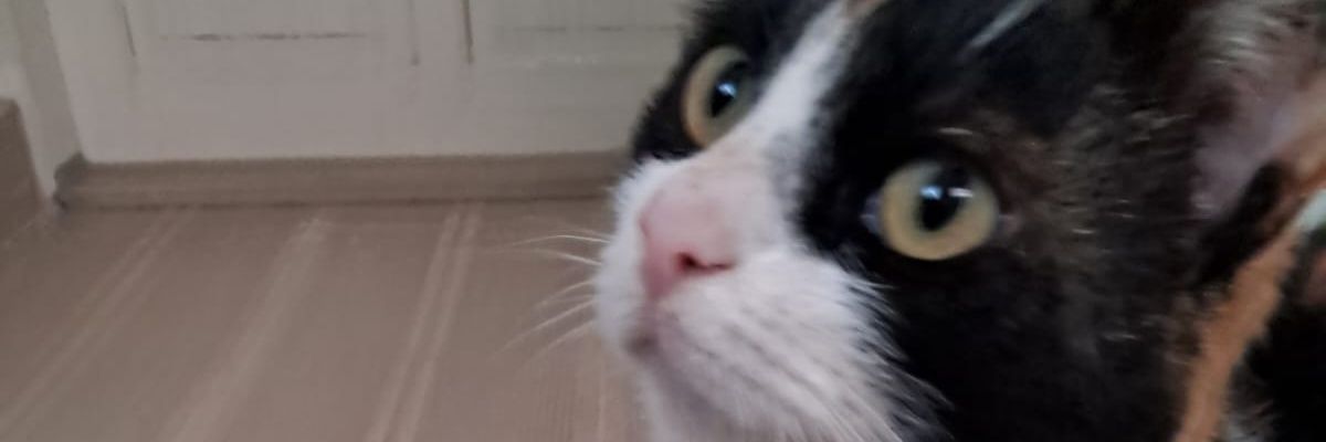 abik964's profile banner image