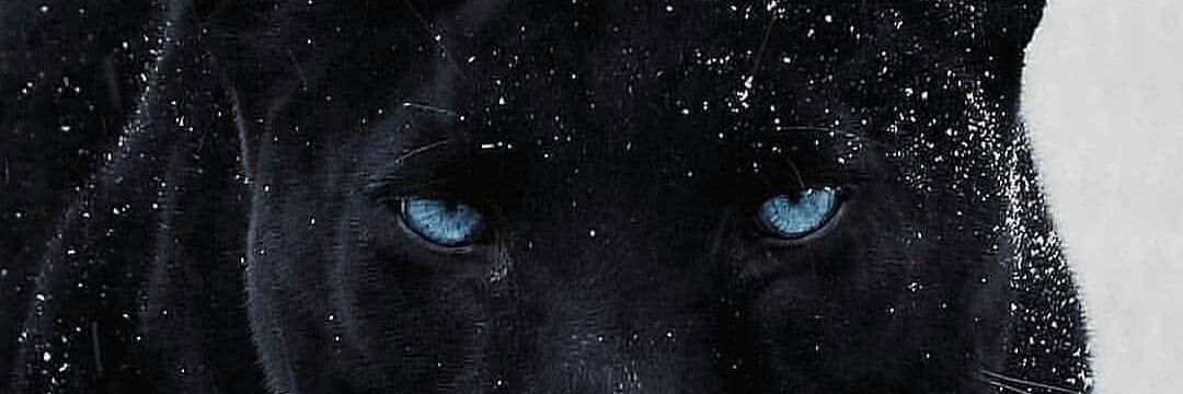 angievan02's profile banner image