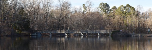 RastStephen Profile Banner