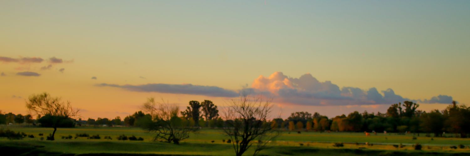 Mer_Baff's profile banner image