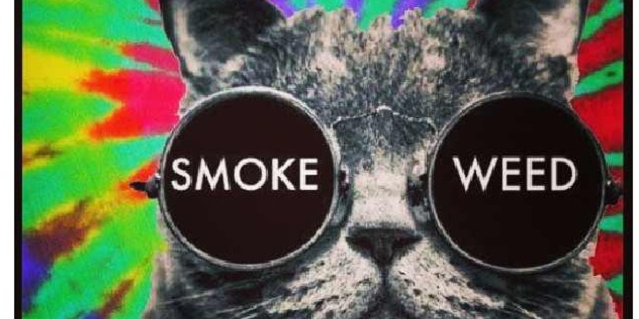 blavkhippy420's profile banner image