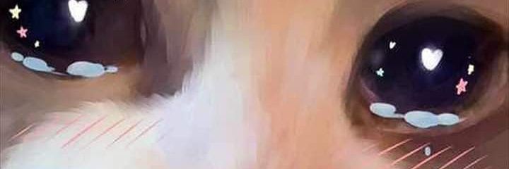 ☆ banner