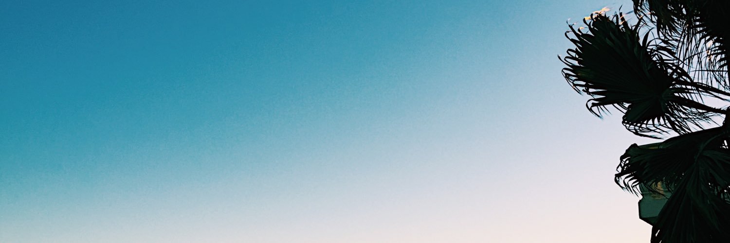 vanessalui28's profile banner image