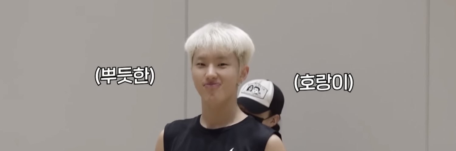 hoshistompies's profile banner image