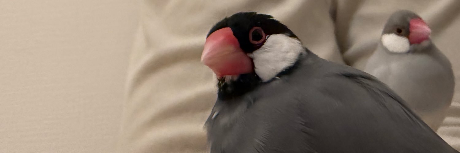 pixxi_sun's profile banner image