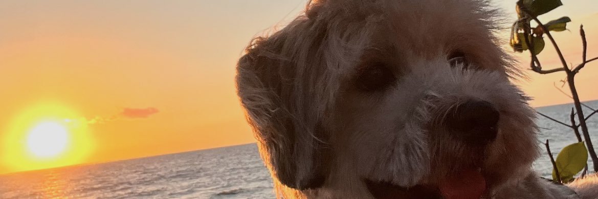 anzxious's profile banner image