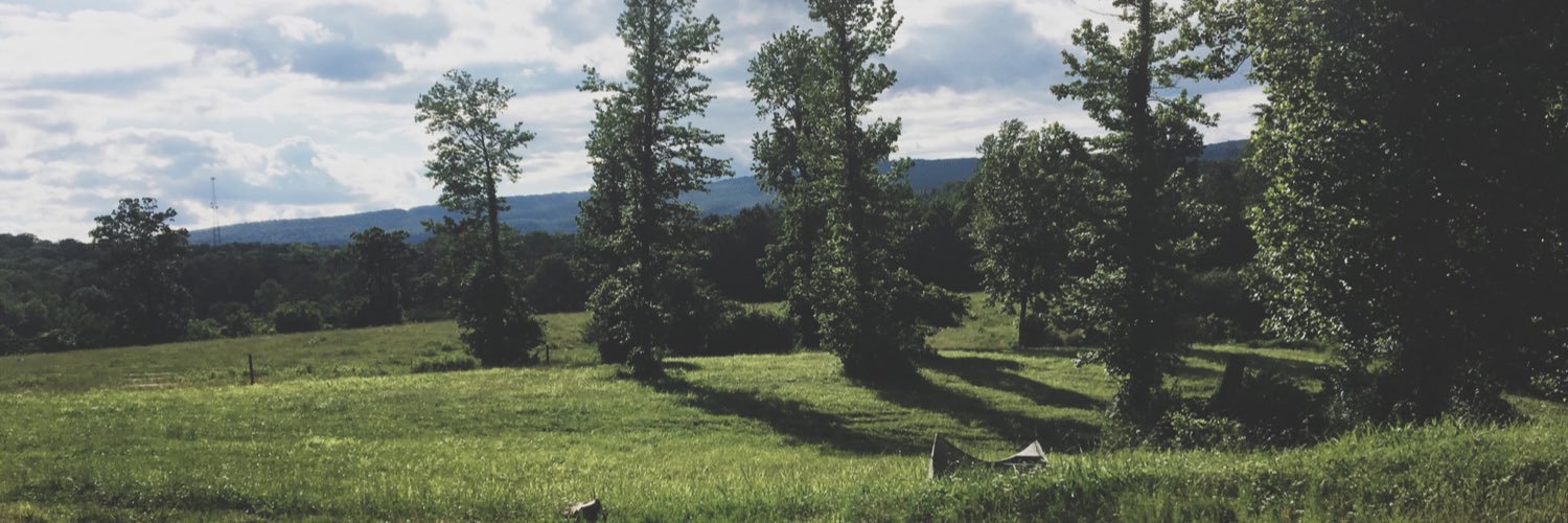 gracealexander's profile banner image
