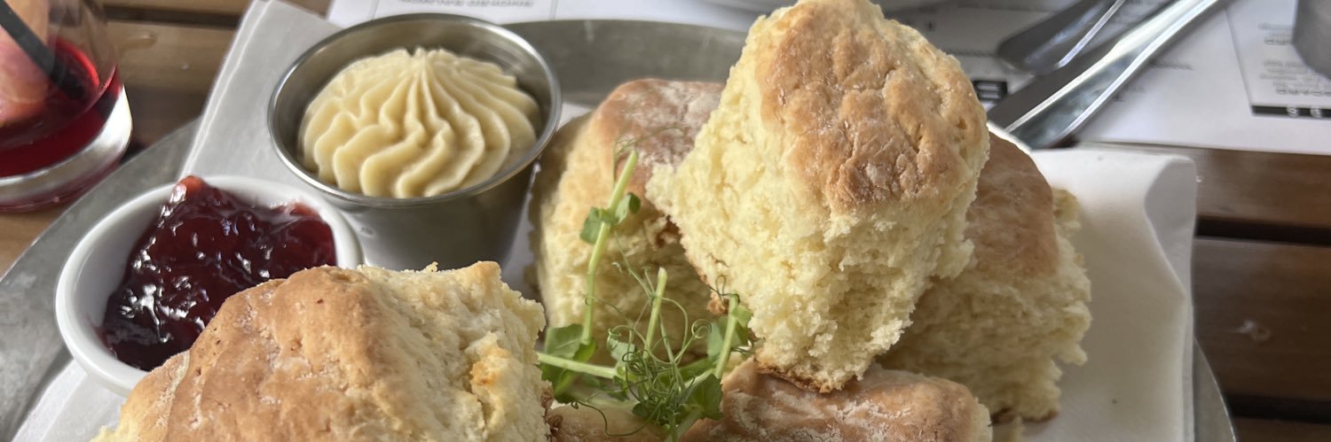 *lizy freudmann* banner