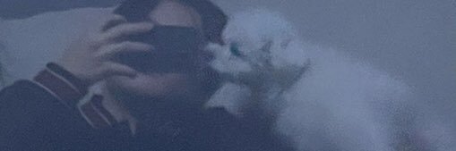 heavenle__'s profile banner image