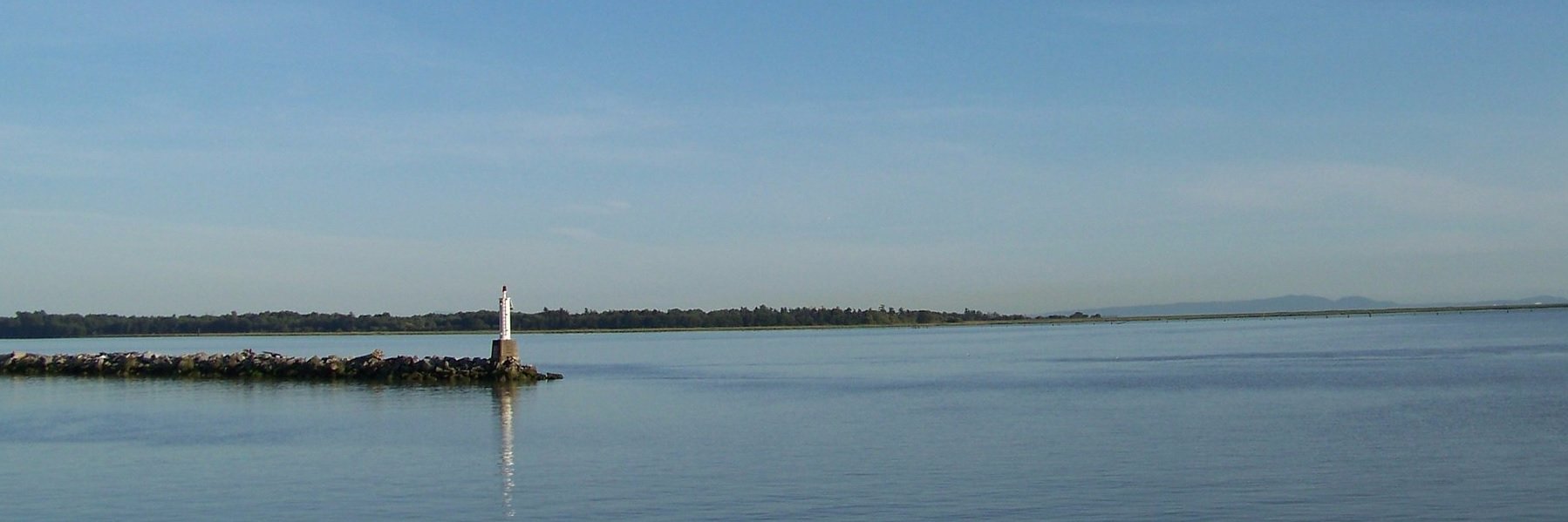 aawc's profile banner image