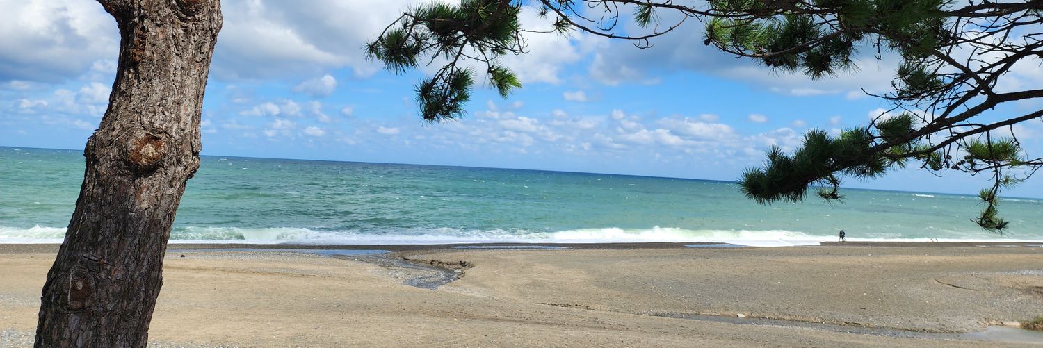 daewoo74's profile banner image