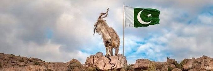 paki_delight2's banner