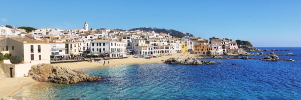 albertsierrav Profile Banner