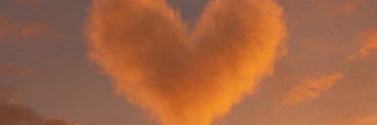 椿(ex 楓🍁) banner