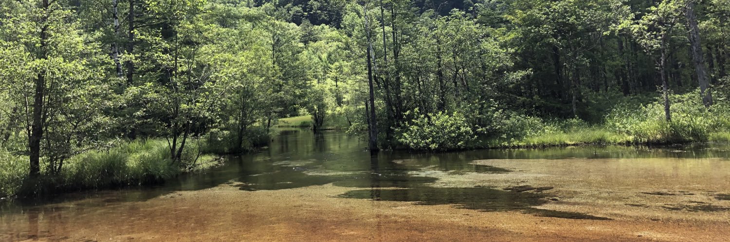 あお卍ぬこ banner