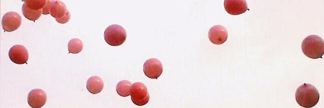 iamjeminid's profile banner image