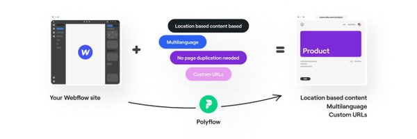 Polyflow_ Profile Banner