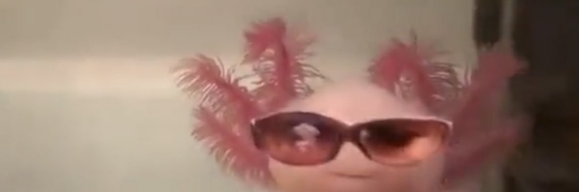 calleedee's profile banner image