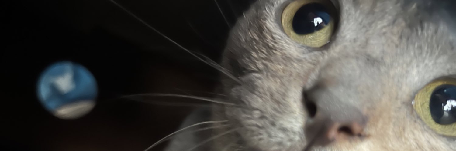 Patoscheller's profile banner image