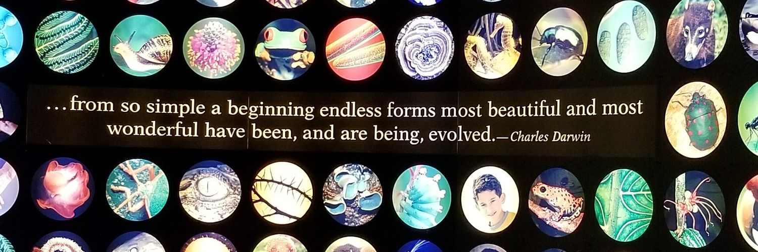 danawildeboer's profile banner image