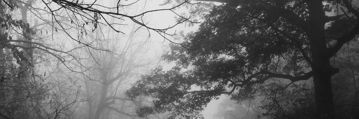 𝘝𝘢𝘯𝘪𝘭 ⁷ banner