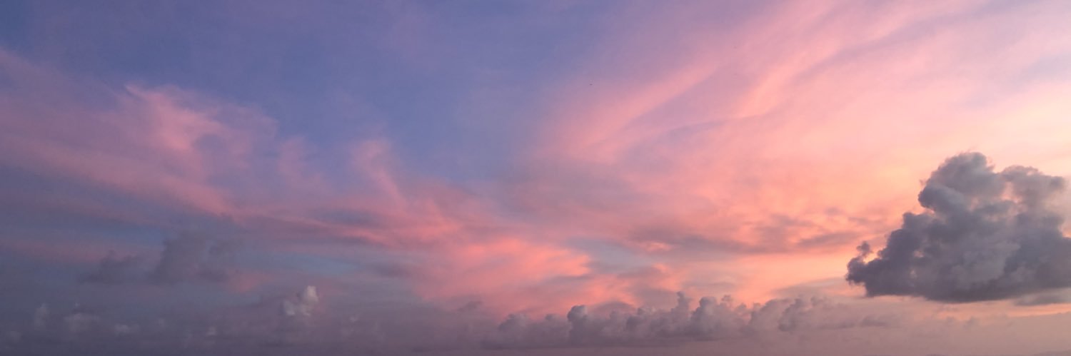 lostxaries's profile banner image