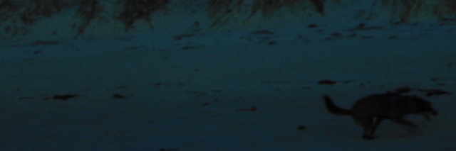 hysterialvr's profile banner image