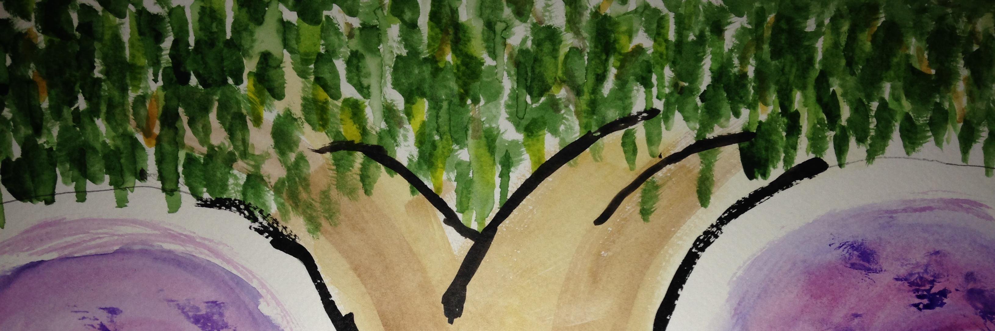 Susannah for Nonprofits banner