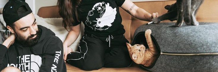 cheemzy_com's profile banner image