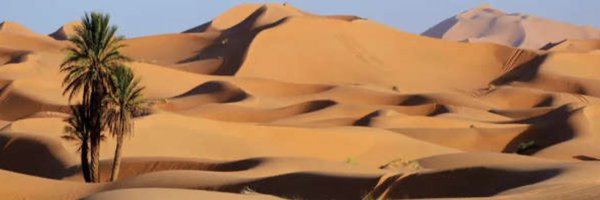 MajidXBT Profile Banner
