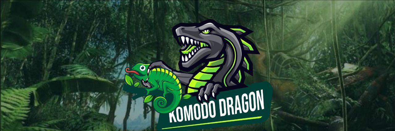 KomodoDragonERC's profile banner image