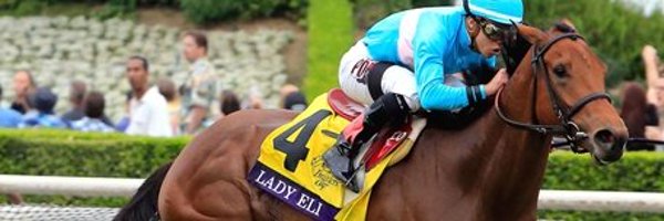 MadaketStables Profile Banner
