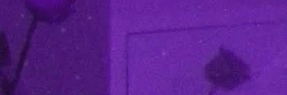 floriidaa banner