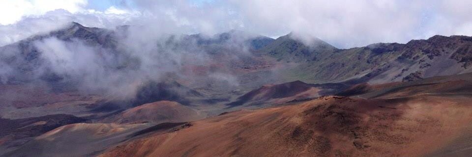 Mona Seghatoleslami banner