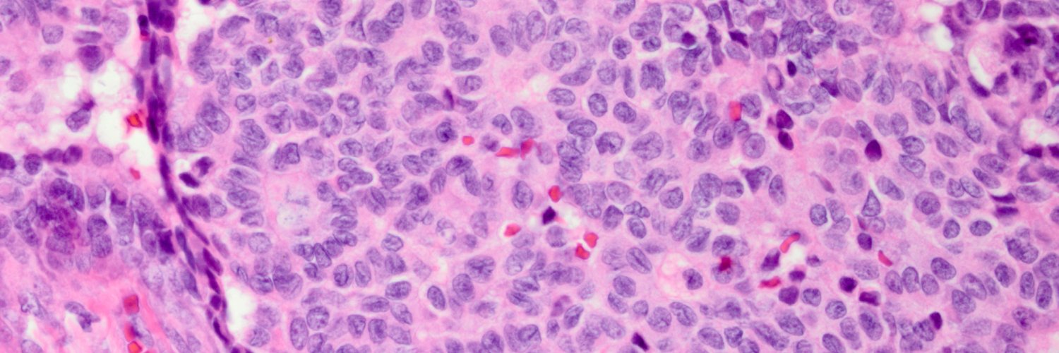 Paul N.Staats, MD banner