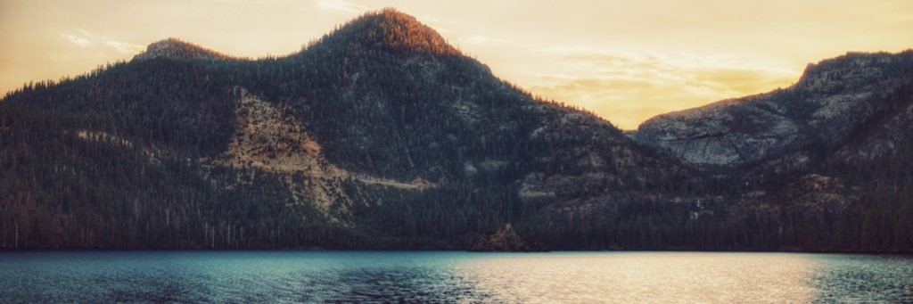 bowchee's profile banner image