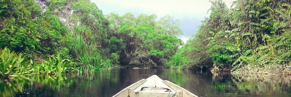 rosyiidd's profile banner image