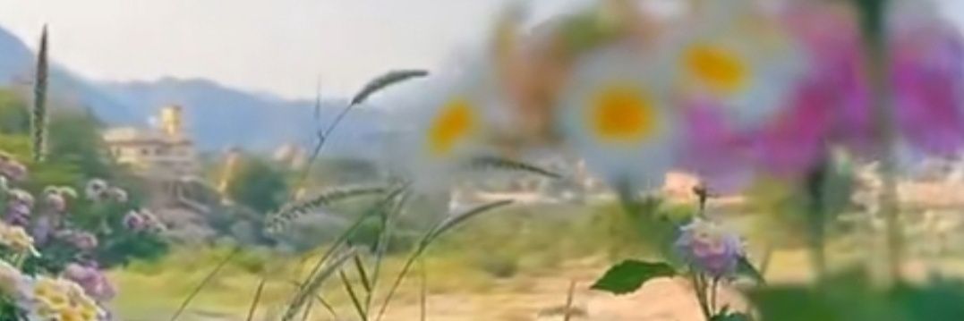 NhyanZam's profile banner image