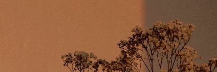 ghicacaa's profile banner image