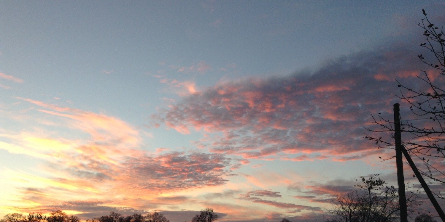 МФЦ Дум banner