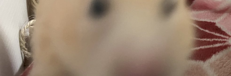 mattyatensei's profile banner image