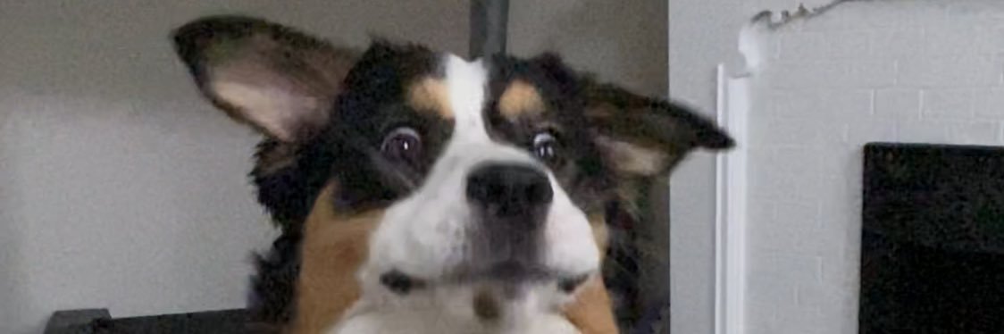 LarryBucknuts69's profile banner image